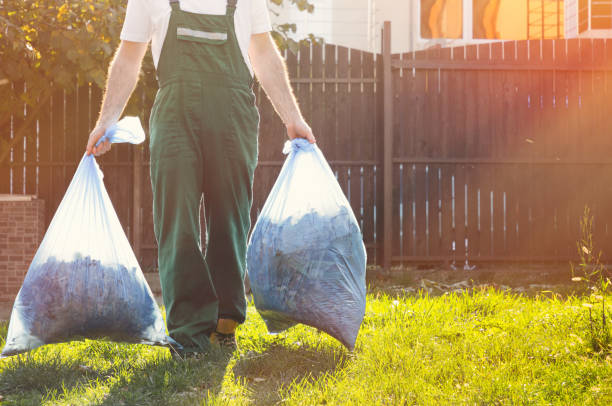 Best Electronics and E-Waste Disposal  in Camdenton, MO